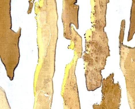deVriesLentsch-eucalyptus bark